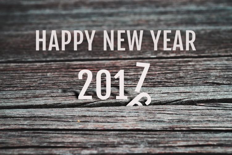 Highlights Of 2016 Goals For 2017 Highlights Of 2016 Goals For 2017