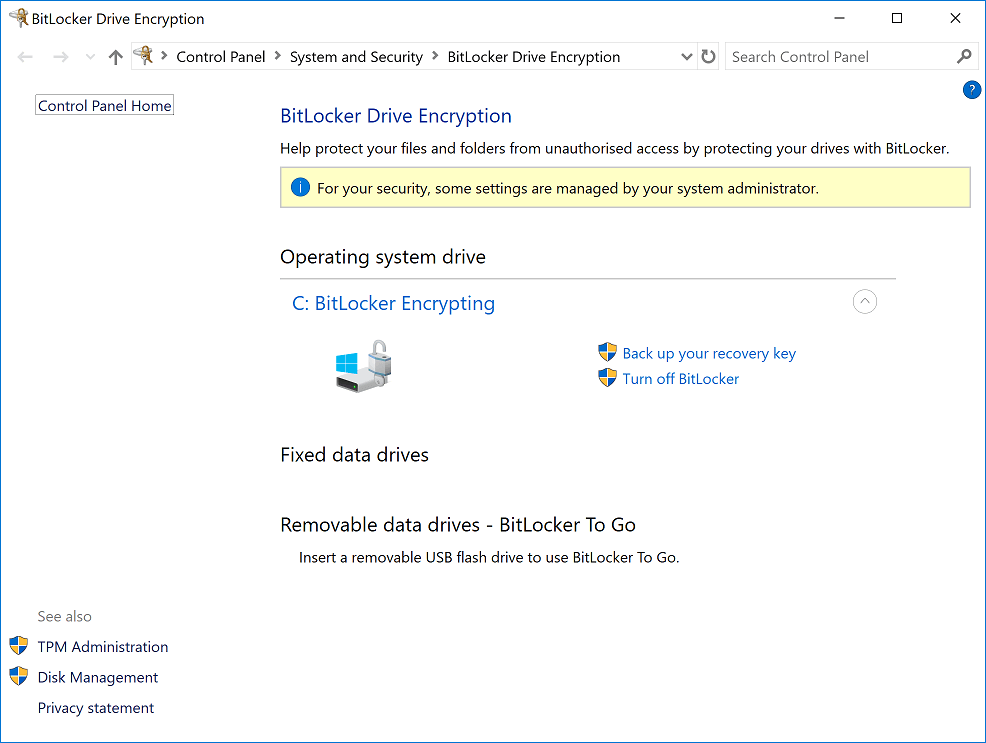 BitLocker Encrypting