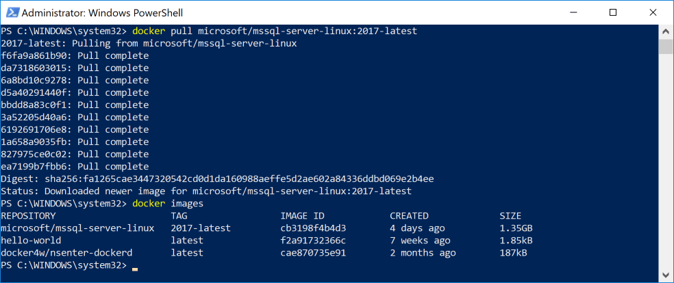 Pulling MS SQL Server to Docker