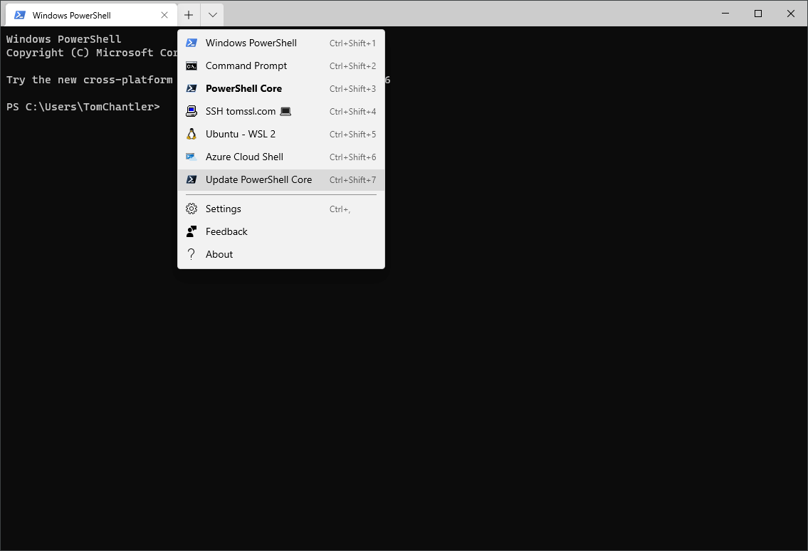 Update PowerShell Core from within Windows Terminal